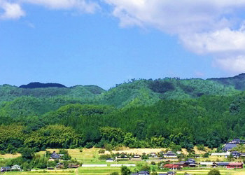 寒暖差の激しい京都・丹波高原の環境が美味しい豚肉を育てます。