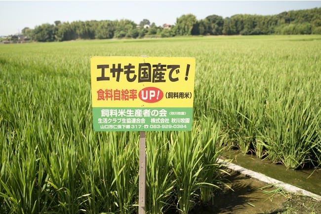 「磯丸水産」相模大野店が宅配専門店「うなぎの岡島」とコラボしリニューアルオープン ‼