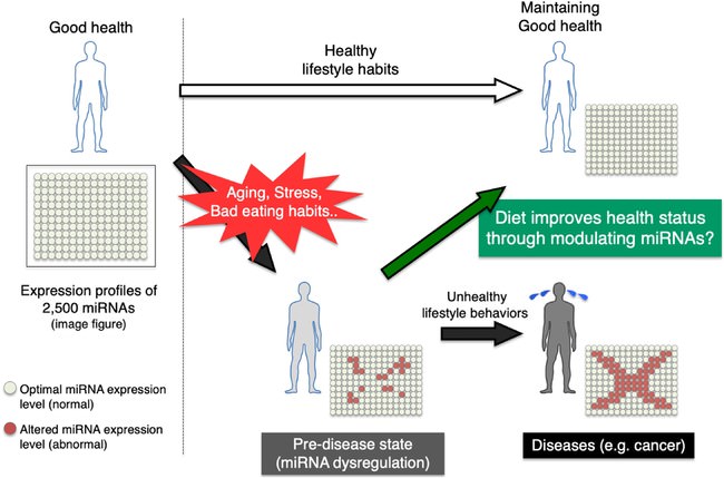 図解：健康状態とマイクロRNA発現パターンの関係性