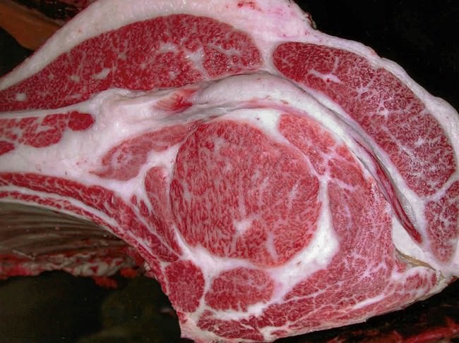 『アフタヌーンティー～不思議の国のアリス～』カラフルでポップな春の“不思議の国”をモチーフにした、とびきりキュートなスイーツをご堪能！