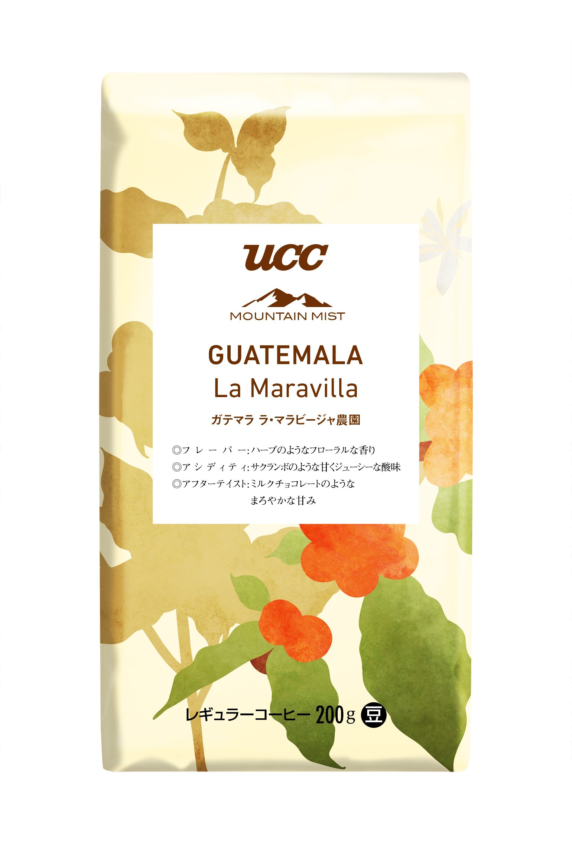 ~銀座で満開のバラに包まれる~