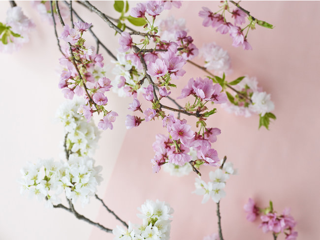 【KIHACHI】今年は、“お花見気分”をおうちデリバリー！春のハレの日を祝う、桜がテーマのテイクアウトグルメが初登場