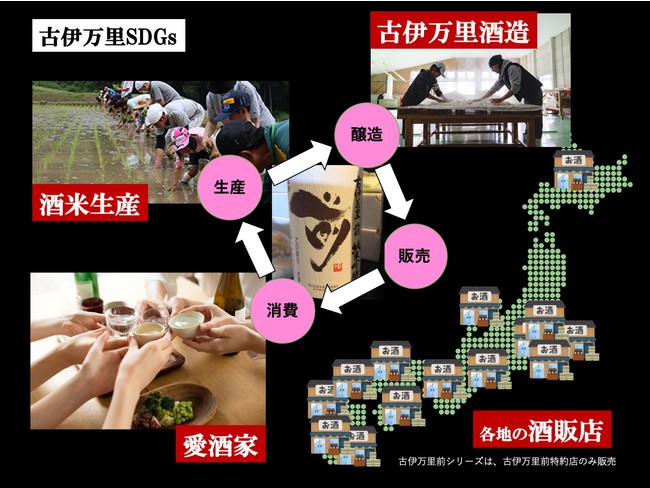 春のみかんをお届けします!四国 宇和島産のみかんを使用した3種類のケーキが登場