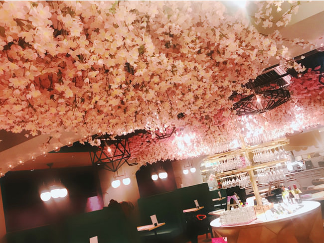 桜の造花がお店の天井を埋めつくす