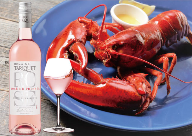 おうちで天然温泉の足湯が楽しめる「ほっこり足湯美人」新発売！