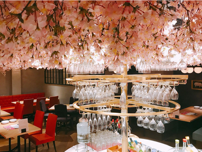 お店の天井を満開の桜の造花で装飾