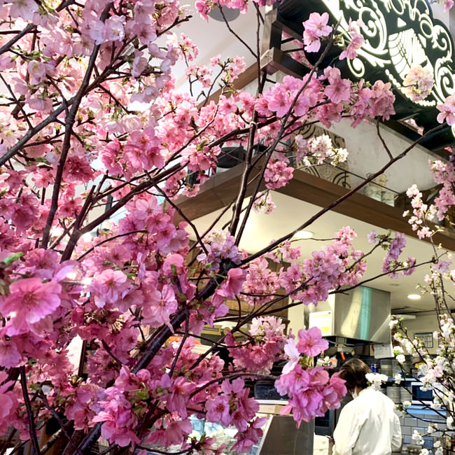 桜満開！店舗で花見開催！2021年春！スシエビス東京大塚のれん街にオープン！！