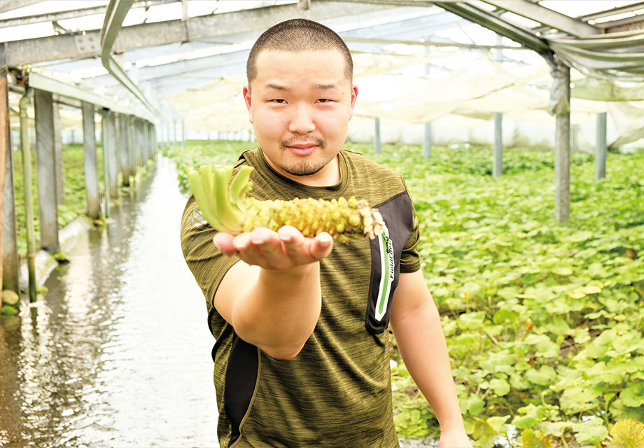 おむすびで食の国際交流を！「せかいむすび」プロジェクトが、聖火リレースタートの地、福島県内のホストタウンと相手国の食文化を掛け合わせたおむすびレシピを発表