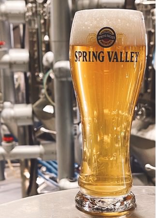 おいしさに高い評価、当商品をきっかけにクラフトビールへの関心も向上　新商品「SPRING VALLEY 豊潤＜496＞」が絶好調！