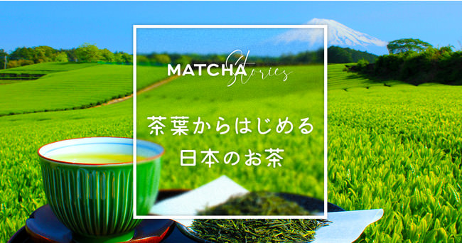 訪日メディア「MATCHA」、日・英・繁・タイ語目線で日本文化を発信する特集「茶葉からはじめる日本のお茶」を4月26日にリリース