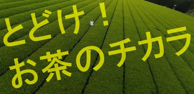 2021年品質 「お～いお茶」　5月17日（月）登場！　同時に、いきいき日本応援プロジェクト第二弾お～いお茶「ドリカム 茶畑オンラインフェスご招待キャンペーン」を開始