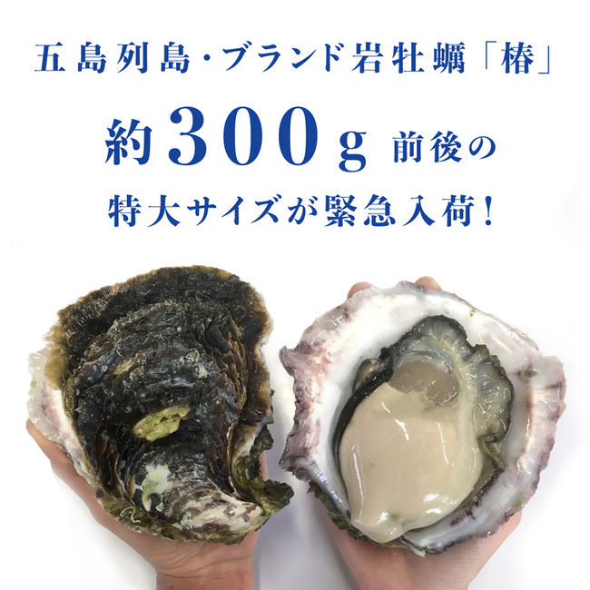 数量限定・特大岩牡蠣イメージ