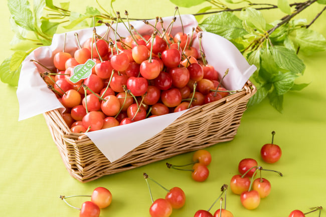 気分やシーンに合わせて9つのムードから選べる、ムードペアリングティー「YOU IN」サブスクリプションサービスにて6月14日(月)より販売を開始!