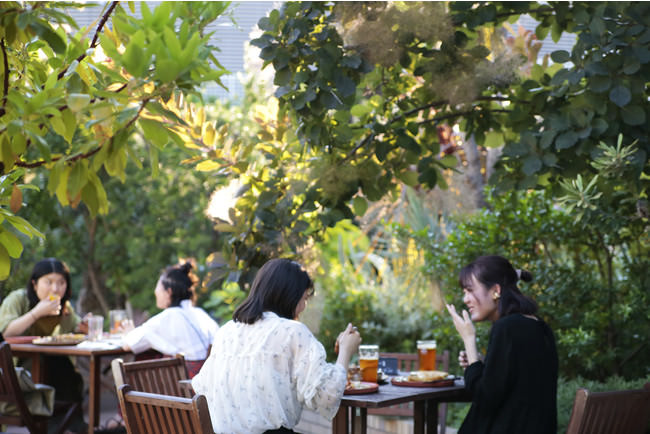 TOOTH TOOTH BEER GARDEN 2021