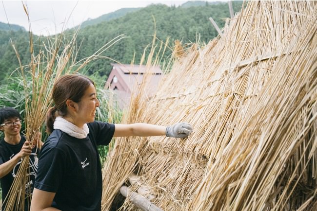 茅葺き職人に教わりながら自分たちでも茅葺き