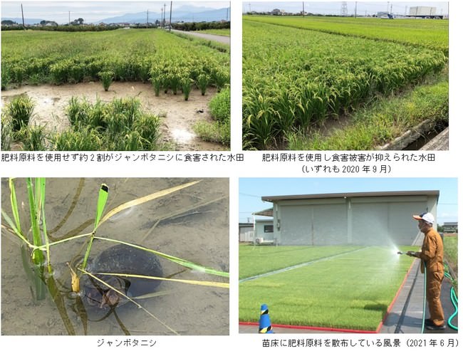 話題のネットスーパー は本当に便利？705人に聞いたリアルなエピソードや意外な失敗談を紹介！