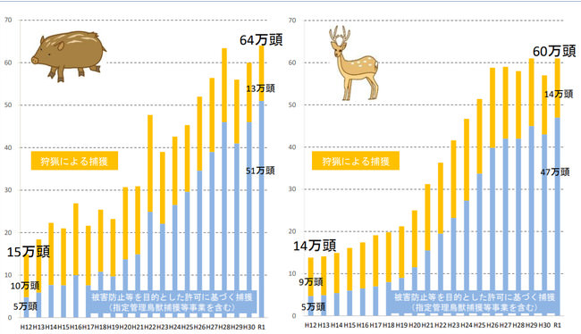 捕獲鳥獣のジビエ利用を巡る最近の状況（令和3年6月版）農林水産省HPより