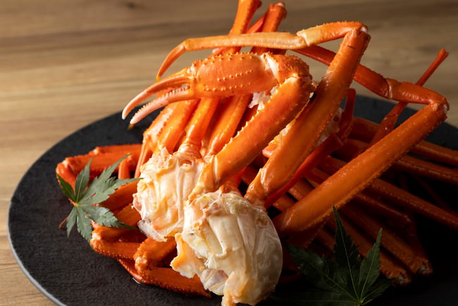 北海道江差産紅ズワイ蟹 