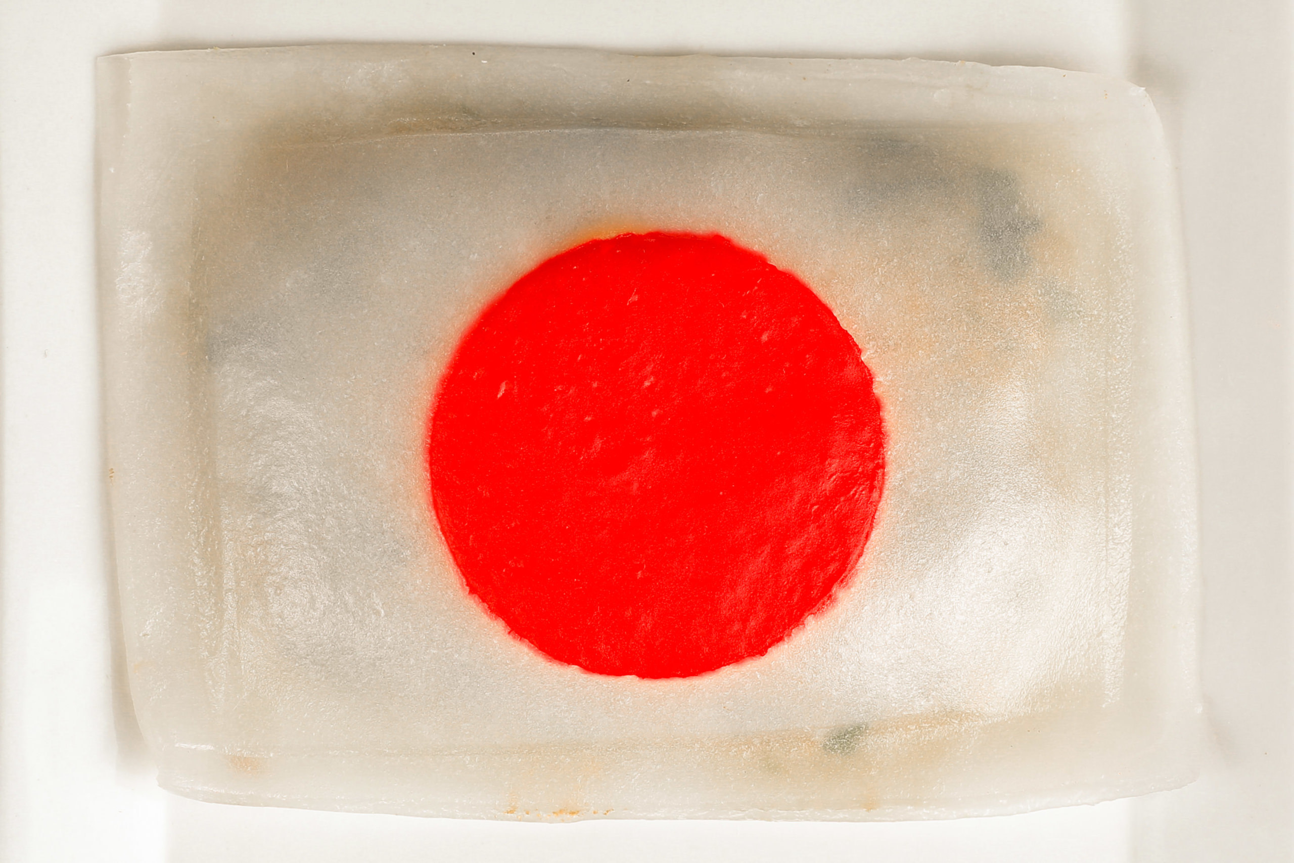 日本国旗をかたどったジャンボな餃子を7／13から期間限定販売！
サマージャンボ当選とコロナ禍の飲食店の活性化を祈念！