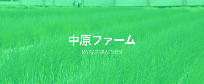 この夏限定！　完熟イチゴの濃い味わいが楽しめる特別なアイスクリーム『濃苺（こいちご）』7月27日(火)より期間限定新発売！