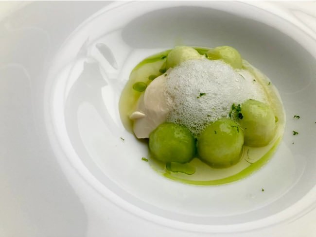 メロン　カボス　バジル