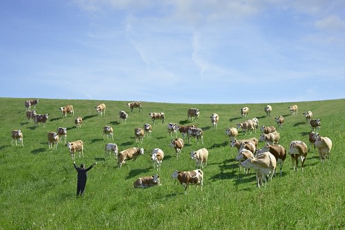 彼の信念は「人、自然、動物全てを尊重すること」です。まさに「牧場から皿の上まで」という世界観です。