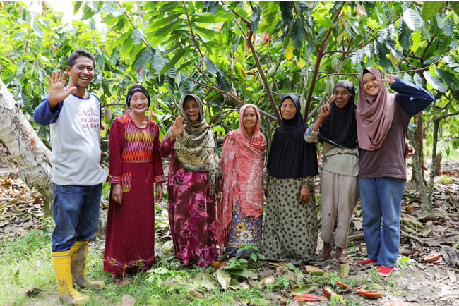 インドネシア・スラウェシ島でカカオ育てる 生産者たち