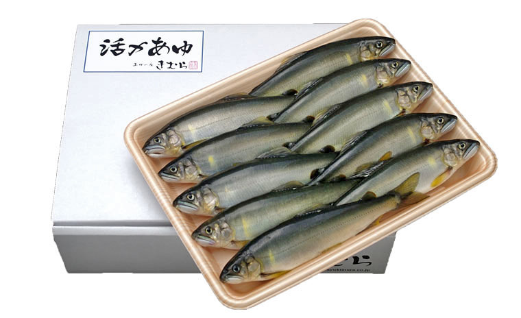日本初の漁港の駅「TOTOCO小田原」に
小田原の魚の魅力をお届けする爽やかなプリン専門店
「小田原漁港プリン」が7月31日(土)オープン!