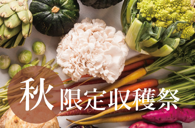 8月31日は「野菜の日」！料理長のこだわり東京野菜が主役の「ベジフルコース」新登場～小田急ホテルセンチュリーサザンタワー～