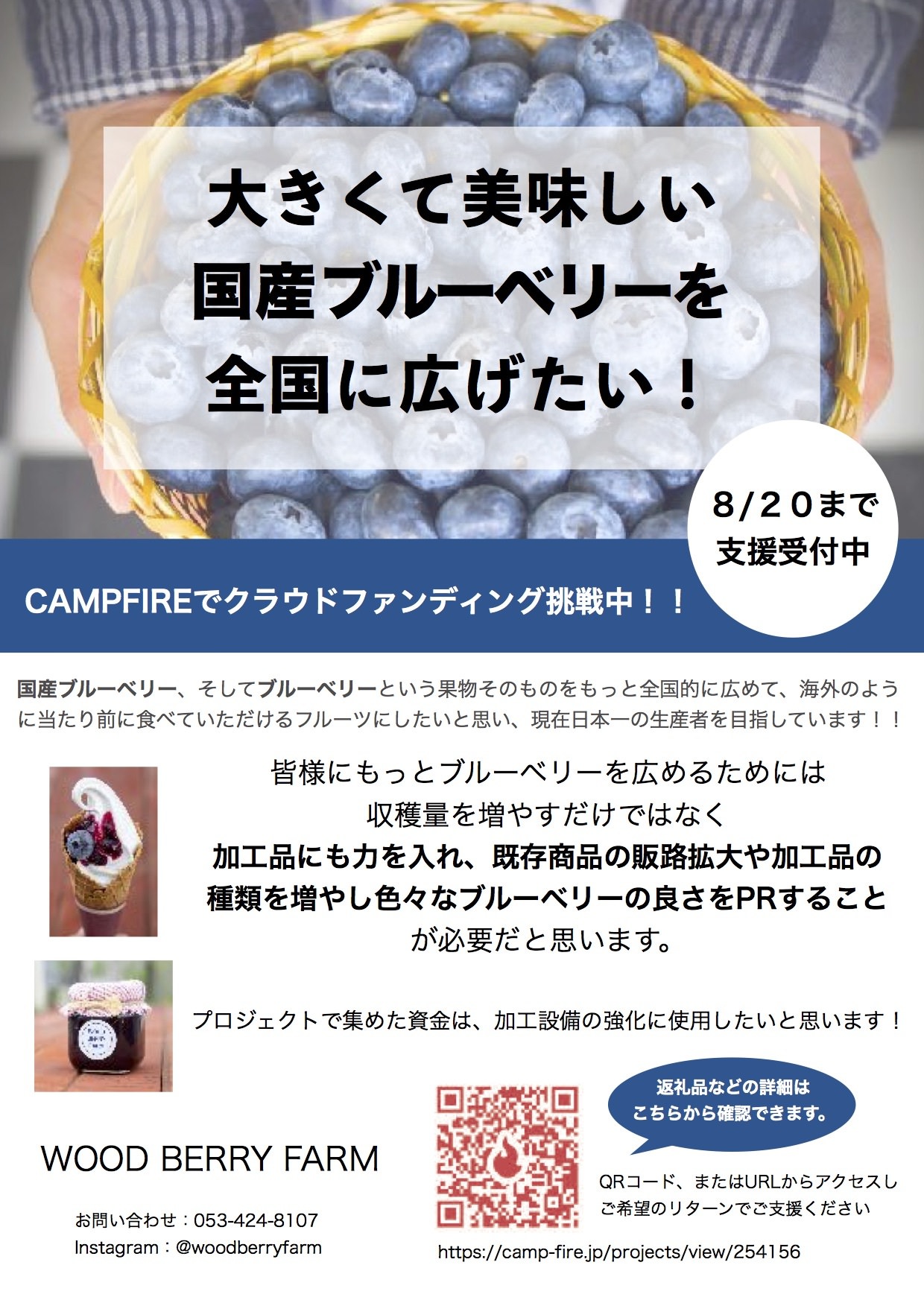 こんなに大きくておいしいブルーベリーがある！
静岡県浜松市のブルーベリーのクラウドファンディングを
8月20日まで実施