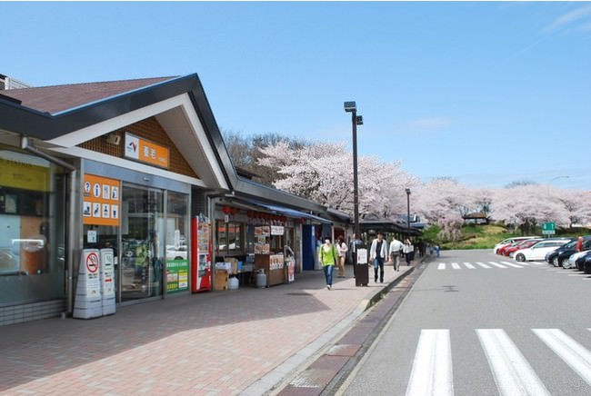 「日本初！ 生クリーム専門店ミルク」より濃厚な4層仕立ての「究極の生クリームチーズケーキ」が大阪初上陸！