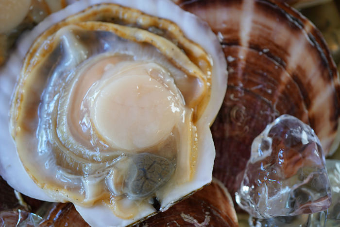 生鮮食品ECサイト「大田市場直送.com」・元サッカー日本代表の専属シェフなどが教える健康レシピを公開