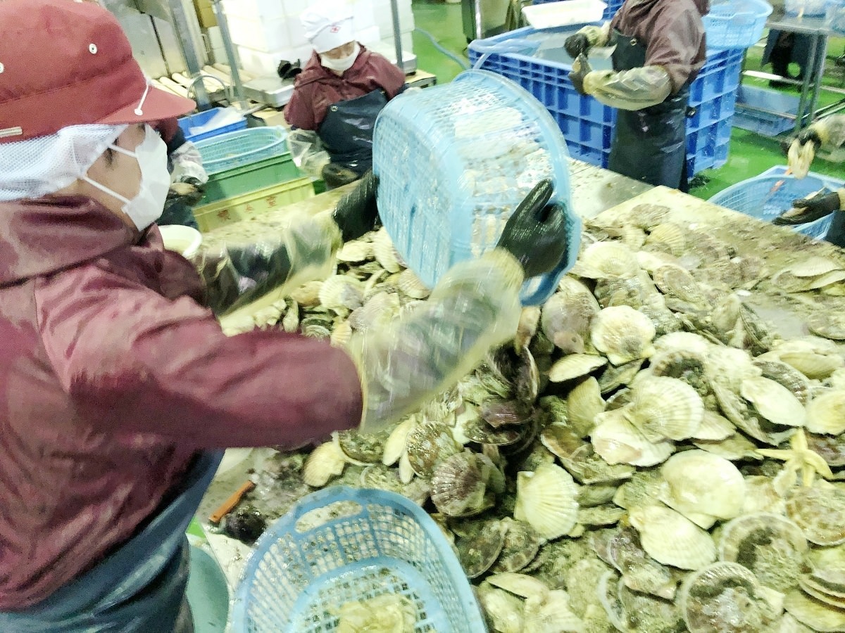 「BT21」のいちごタルトが
ファミリーマートで数量限定発売！