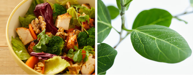 京都アニメーション制作：TVアニメ「小林さんちのメイドラゴンＳ」×「あっとほぉーむカフェ」のコラボレーションカフェが2021年9月1日～開催！