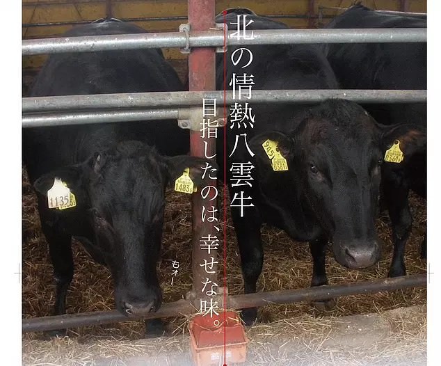北海道の農林水産物“送料補助キャンペーン”を開始　
干ばつにより不作となった「訳ありとうもろこし」の販売が決定