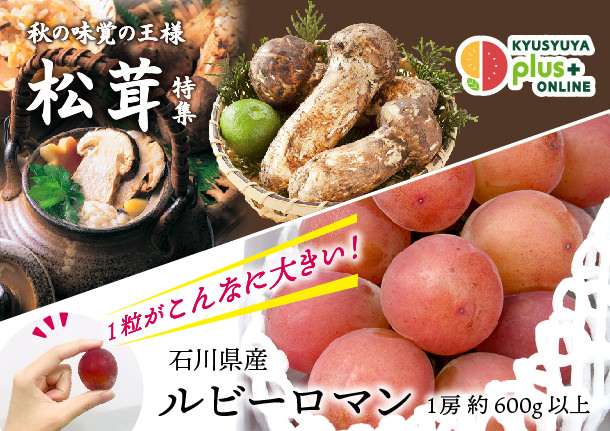 「アオモリンク赤坂大収穫祭2021」を開催　
青森の食材・加工品等特産物をお届け！