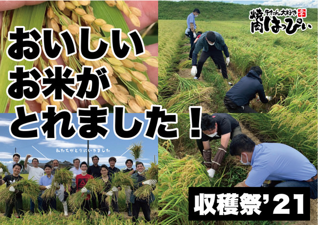 フルーツマイスターみかん屋が柿の送料無料キャンペーンを開始
　日本一の柿の生産地、和歌山県から取れたてをお届け