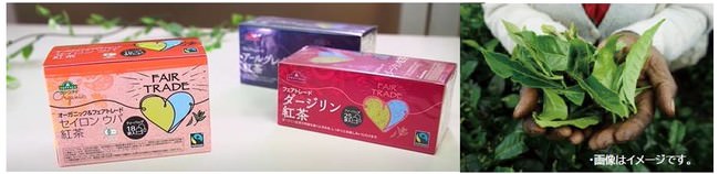 自炊回数が増えたと若い世代の約4割が回答