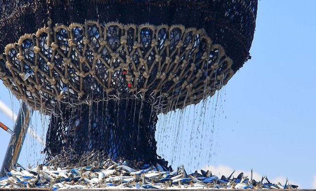 マリトッツォ全品1個250円！ 9月30日で終売につき、ご愛顧に感謝のサンクス価格で9月18日～9月30日テイクアウト販売☆万博公園EXPOCITY「BARBARA EXPO RESTAURANT」