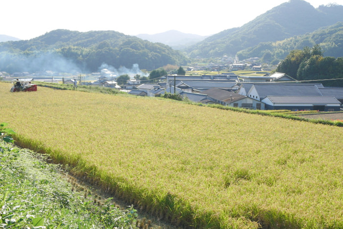 ハイカカオチョコと高たんぱくビスケットの食べ応えのあるおいしさ 1個で満足感のある50kcalのチョコビスケット『タニタ食堂監修　カロリースタイル』が新登場！