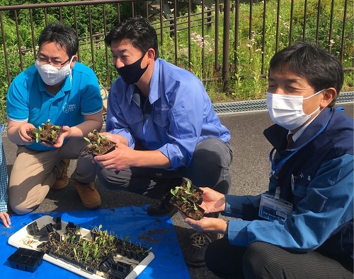  ▲尾瀬環境保護プロジェクトメンバーと合同で行った水芭蕉育苗作業の様子 (左から)三条印刷株式会社 代表取締役 渋谷政道様、永井酒造株式会社 代表取締役社長 永井則吉, 東京パワーテクノロジー株式会社 尾瀬林業事業所長 小暮義隆様