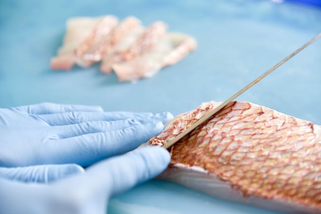 天然魚を新鮮な状態で加工し急速冷凍します。