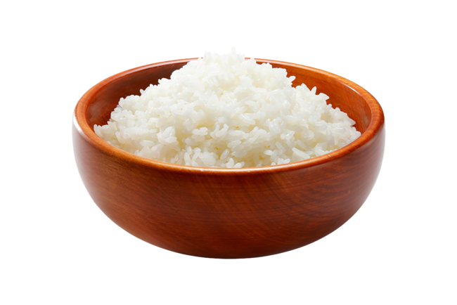 ガリバー専⽤ ガリバーライス