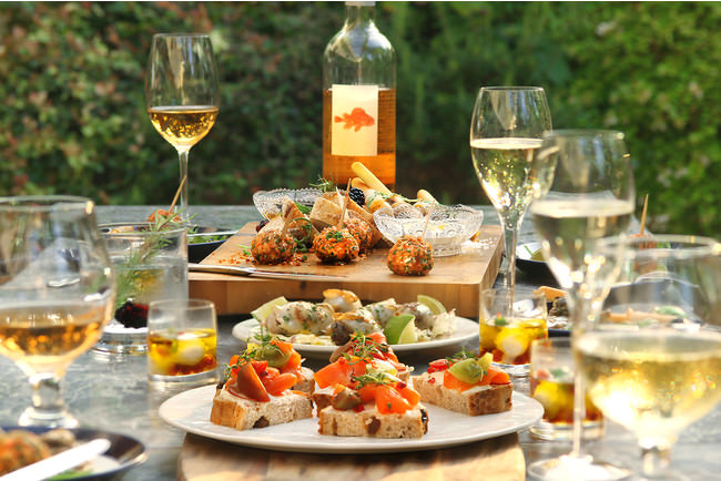 アペロテラスプラン