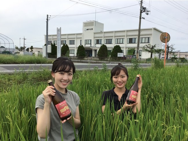 神戸大学　食資源教育研究センター圃場