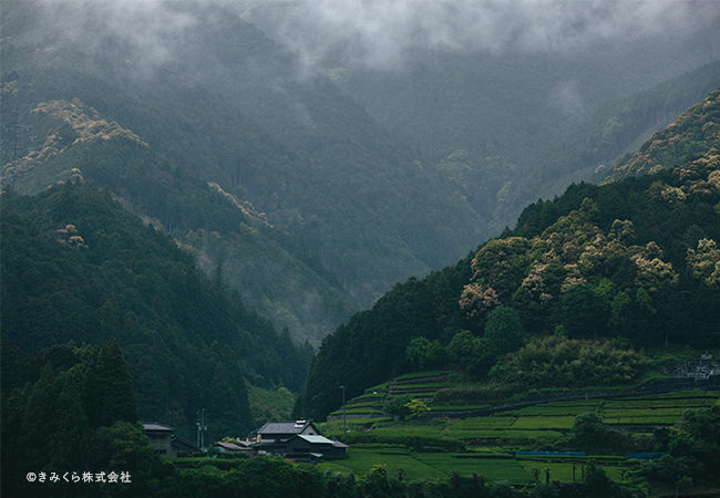 静岡県玉地区