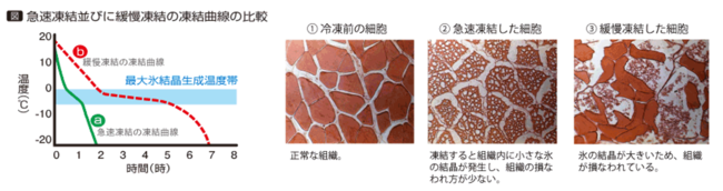 出典：一般社団法人日本冷凍食品協会