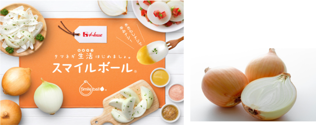 【ミヨシ油脂】は「関西デザート・スイーツ＆ベーカリー展2021」に出展いたします