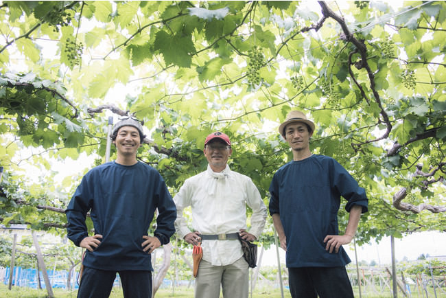 抹茶パフェも秋の装い
京都・伊藤久右衛門「もみじ抹茶パフェ」10月9日より提供開始