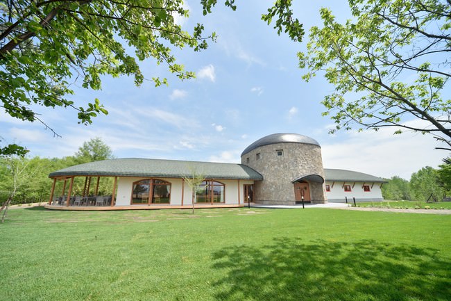 ペリエ ジュエが自然とアートの融合から生まれたミシャー’トラクスラーとのコラボレーションパッケージを数量限定で発売